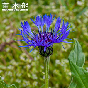 Zg[A y^iz ܓh i1j iAt10{`2{j