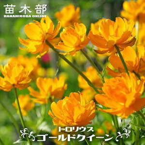 gEX yS[hNC[z |bgc y\̔z4`5ח\