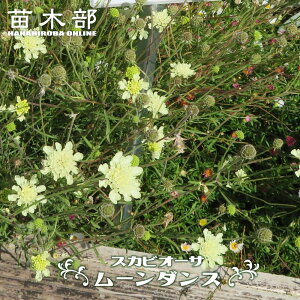 XJrIT [_X i}cV\Ej 3|bgc A y\̔z4`5ח\