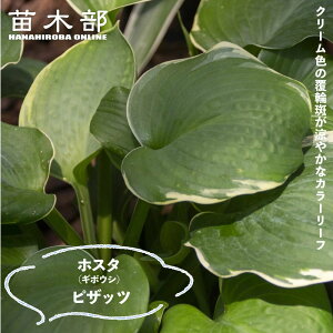 ysUbcz M{EV zX^ 3|bgc y\̔z4`5ח\