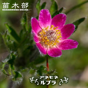 All yuz 3|bgc y\̔z3{ח\