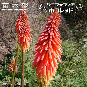 NjtHtBA i gg} A ԌFS j |Rbh 4|bgc h c N ϊ  y\̔z4`5ח\