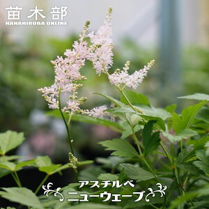 h AX`x j[EF[u 3|bgc y\̔z4`5ח\