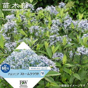 A\jA yXg[NEhz 3.5|bgciPW)