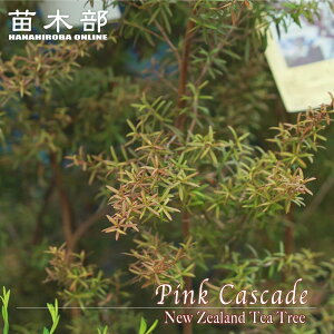 ysNJXP[hz vgXy} 5|bgc