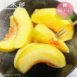 �� �c�� �y�����S�[���h�z 1�N���ږؕc �P�i or �󕲎��Z�b�g