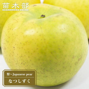  c yȂz 2Nږؕc XbgA