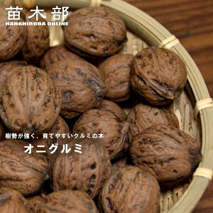 ݂̖؂̕c ySӓ iIjO~jz 1Nc y\̔z11`12ח\