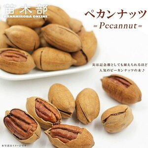 yJibc is[Jibcj  3Nc ^zցE卫