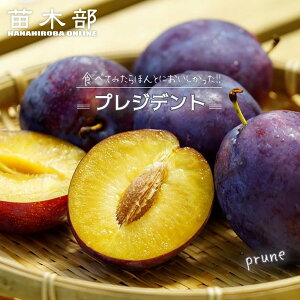 v[ c yvWfgz 3Nږؑc 8|bg