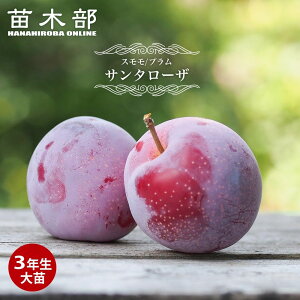  c yT^[Uz 3Nږؑc 1mc yYnř 1.0mcz y\̔z11{ח\