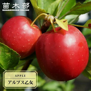 P c yAvXz 2Nږؕc XbgA ̔ y\̔z11{ח\