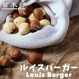 yCXo[K[z w[[ibc 2N}ؕc OXbg