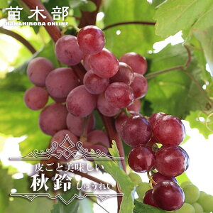 yHz Ԃǂ 1Nږؕc EBXt[ o^iEco^ y\̔z12`N1ח\