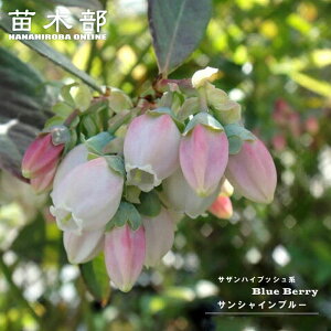 yTVCu[z TUnCubVn 2N}ؕc u[x[c