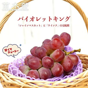 yoCIbgLOz Ԃǂ 3Nږ1.1mc EBXt[ yYnř 1.1mcz