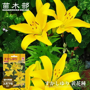 yVX[p[Z[Ώۏi  yԎz i2j iAt10`3j