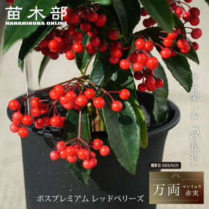 i}Ej Ԏ y{Xv~A bhx[Yz 3.5|bgc