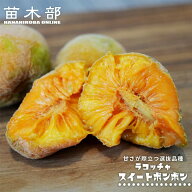 ラコッチャ(リンゴパンノキ) 【スイートボンボン種】 Artocarpus lacucha 実生 3号ポット苗