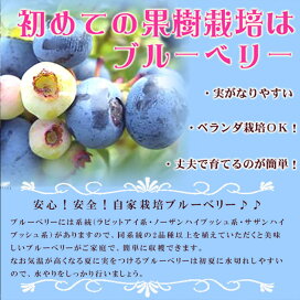 bb-start1_1000x.jpg?fitin=272:272
