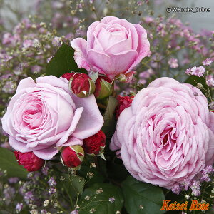 o y}[ wGbez 3N1.5mc o^iEio^ ^zցE卫