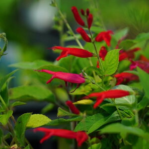 ypCibvZ[Wz n[uc 5|bg