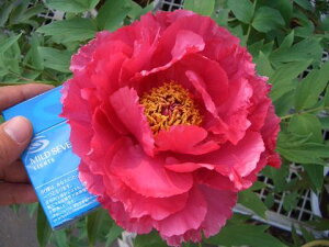 yVсiVWcQcjVLj zigFj O 2N 6XbgA