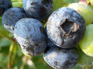 yXp^z m[UnCubVn 2N}ؕc u[x[c