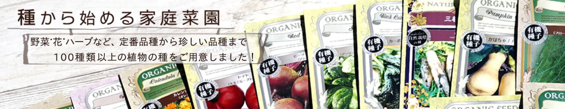 種から始める家庭菜園