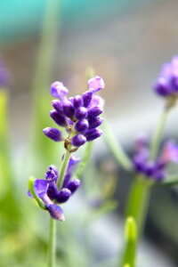 yzQCg x_[z iCObVx_[j n[uc 3|bg