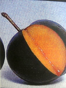  c yoCI`F[z 1Nږؕc y\̔z11`12ח\