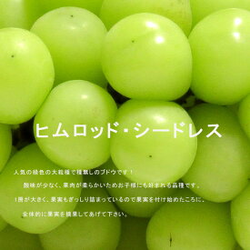 種無しぶどう 【ヒムロッドシードレス】 1年生挿木苗木
