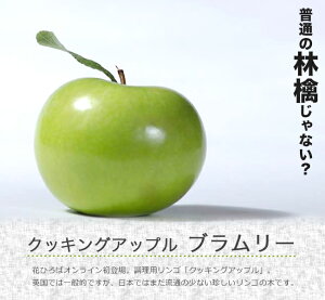 񂲕c yu[z 3Nږ1mc NbLOAbv yYnř 1.0mcz