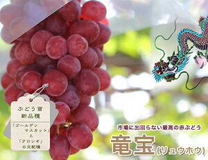yz Ԃǂ 1Nږؕc EBXt[ y\̔z12`N1ח\