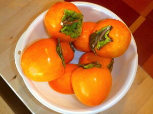 `̕c yÕSz sSÊ` 2Nږؕc OXbgA ̔ y\̔z11{ח\