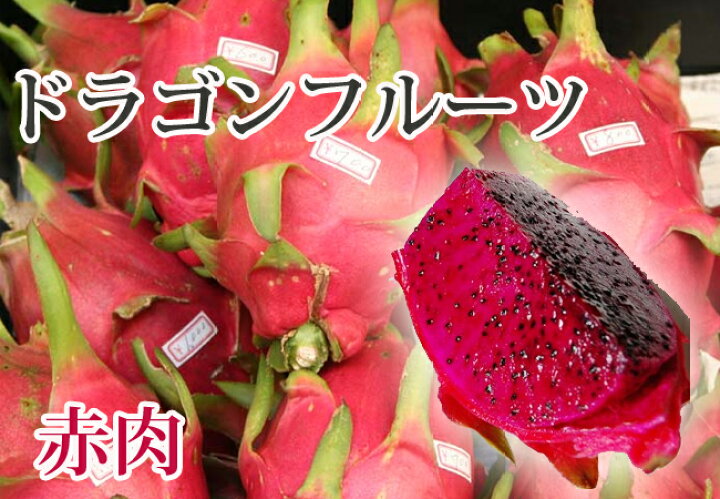 楽天市場 在庫処分値下げ中 ドラゴンフルーツ 赤肉 ポット苗 沖縄県産 熱帯果樹 苗木部 ｂｙ 花ひろばオンライン