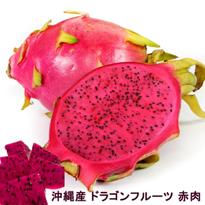 楽天市場 ドラゴンフルーツ 赤肉 ポット苗 沖縄県産 熱帯果樹 苗木部 ｂｙ 花ひろばオンライン