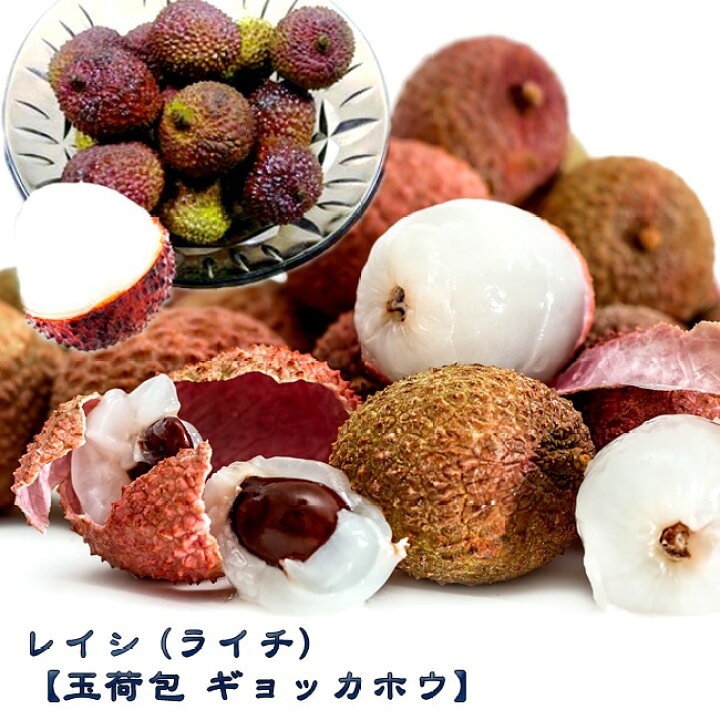 楽天市場 ライチ 玉荷包 6号ポット苗 沖縄県産 苗木部 ｂｙ 花ひろばオンライン
