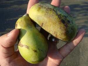 ||[ c yAQ[j[z 1Nږؕc