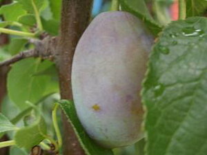 v[ c yo[oNz 3Nږؑc 8|bgc