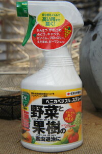 xjJxWtXv[ 420ml E yށzy_zy܁z