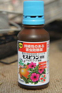 Xst100ml E yށzy_zy܁z