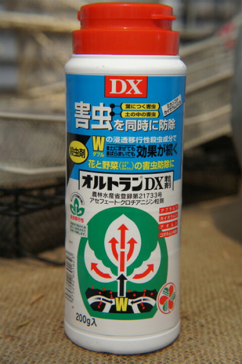 楽天市場 オルトランdx粒剤0ｇ 殺虫剤 コガネムシ類幼虫 ネキリムシ 資材 農薬 薬剤 苗木部 ｂｙ 花ひろばオンライン