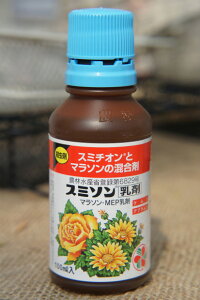 X~\100ml E yށzy_zy܁z