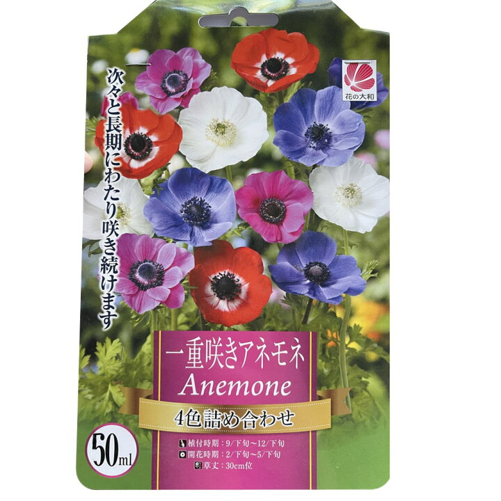 楽天市場 アネモネ 一重咲き 4色詰め合わせ 60ｍｌ 球根 植え付け時期12月下旬まで 苗木部 ｂｙ 花ひろばオンライン