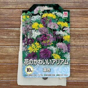 yVX[p[Z[Ώۏi yz AA  y10z iAt12{܂Łj