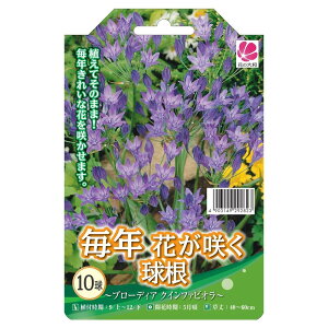 yz u[fBA NCt@rI y10z iAt12{܂Łj