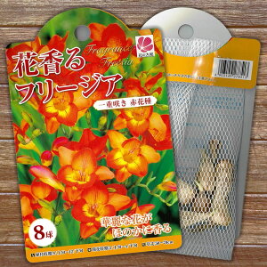 t[WA d ԉ  i8j iAt12{܂Łj