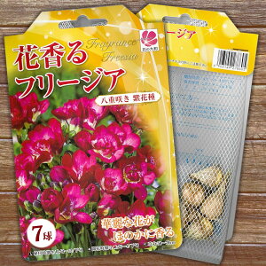 t[WA d F  i7j iAt12{܂Łj