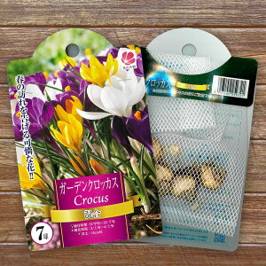 yVX[p[Z[Ώۏi yK[fNbJXz   i7j iAt12{܂Łj